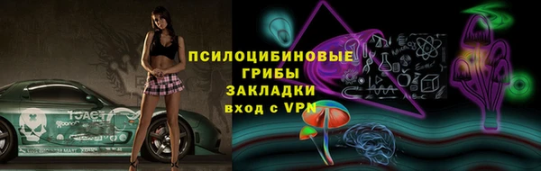 соль ск Горнозаводск