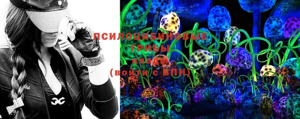 соль ск Горнозаводск