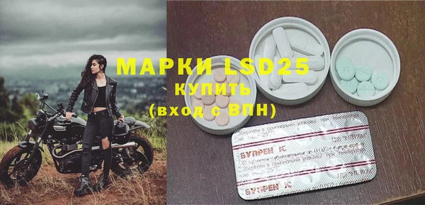 a pvp Горняк