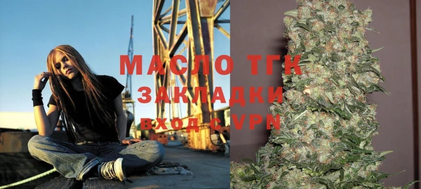 a pvp Горняк